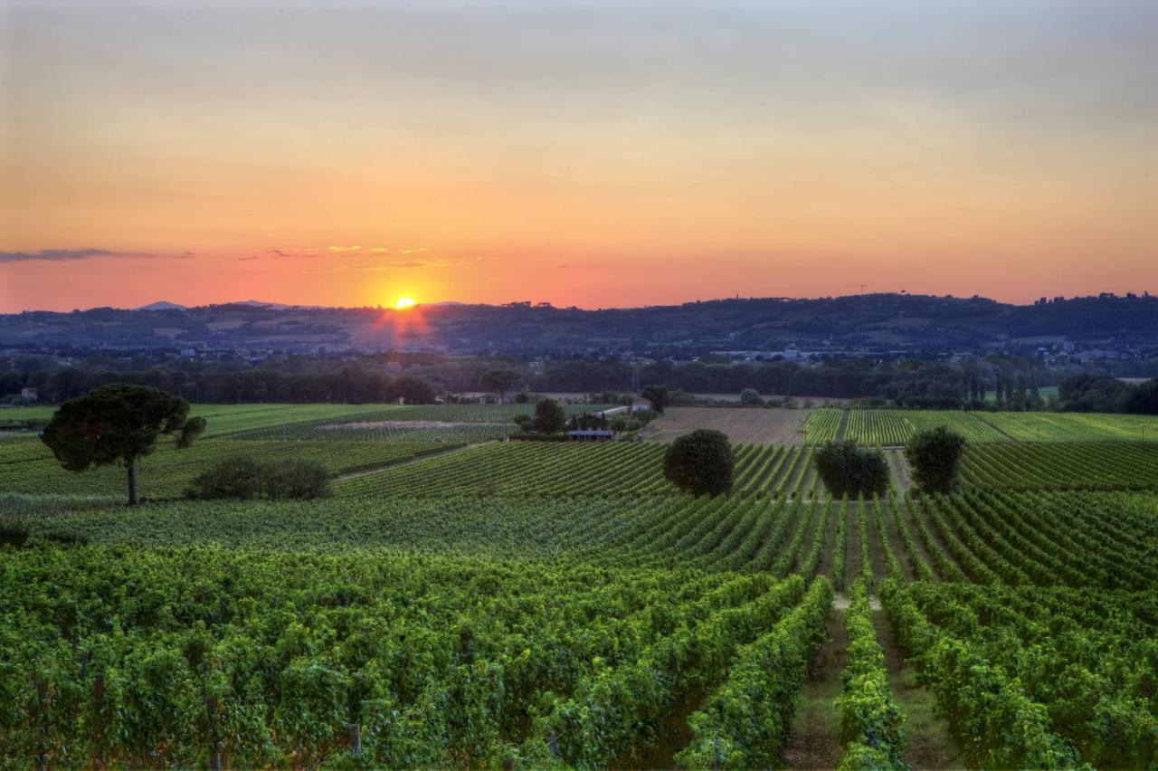 טורג'אנו Poggio Alle Vigne מראה חיצוני תמונה
