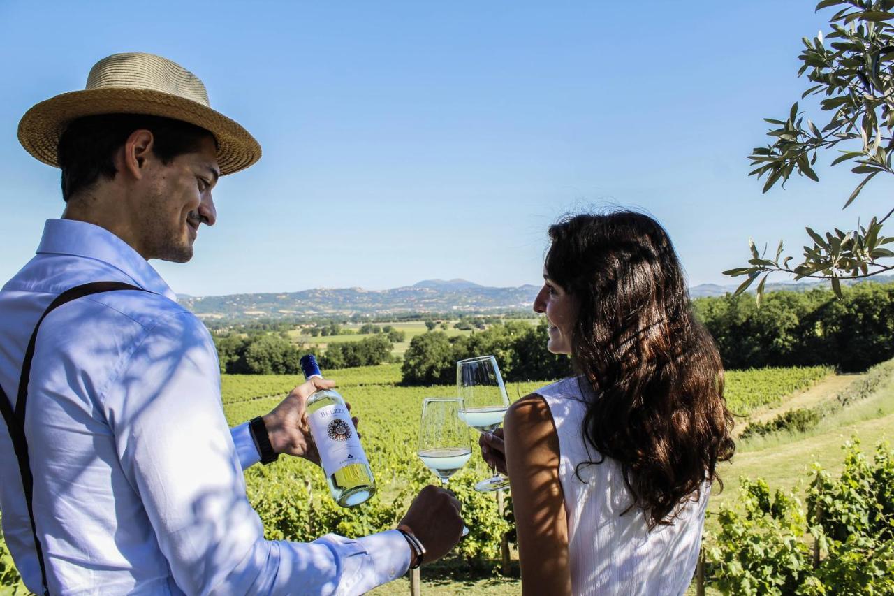טורג'אנו Poggio Alle Vigne מראה חיצוני תמונה